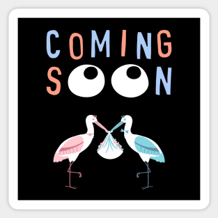 Mother's To Be, New Moms, Baby Announcement Cute, Storks, Coming Soon Design Sticker